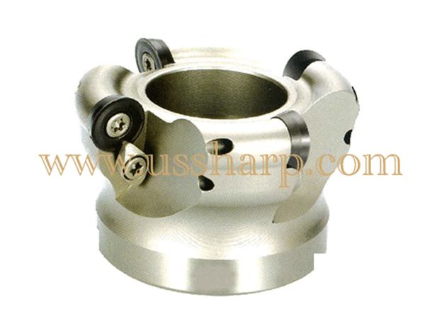 TRS Rounding Face Mill Head 223-2|Indexable Milling Insert Holder|Face Mills,Indexable Mills,Milling Cutter