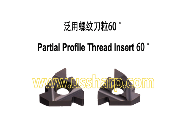 Partial Profile Thread Insert 60 Degree|Thread Insert and Holder|ER/L A60, ER/L G60, ER/L AG60