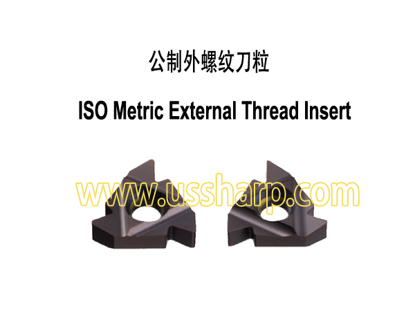 ISO Metric External Thread Insert|Thread Insert and Holder|ISO Metric External Thread Insert