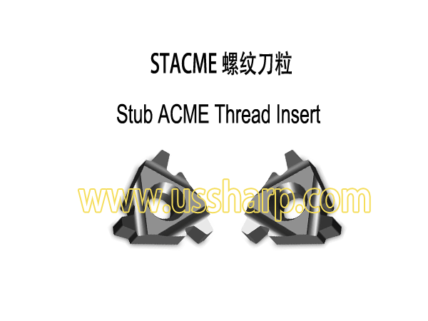 Stub ACME Thread Insert STACME|Thread Insert and Holder|Stub ACME Thread Insert
