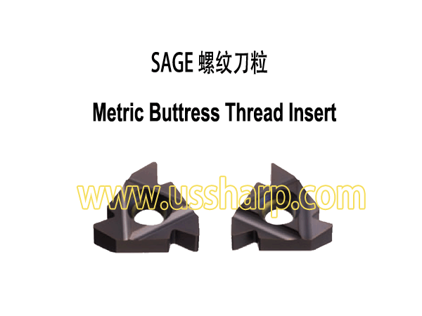 Metric Buttress Thread Insert SAGE|Thread Insert and Holder|Metric Buttress Thread Insert SAGE